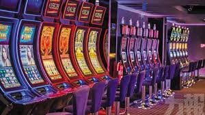 559bet net