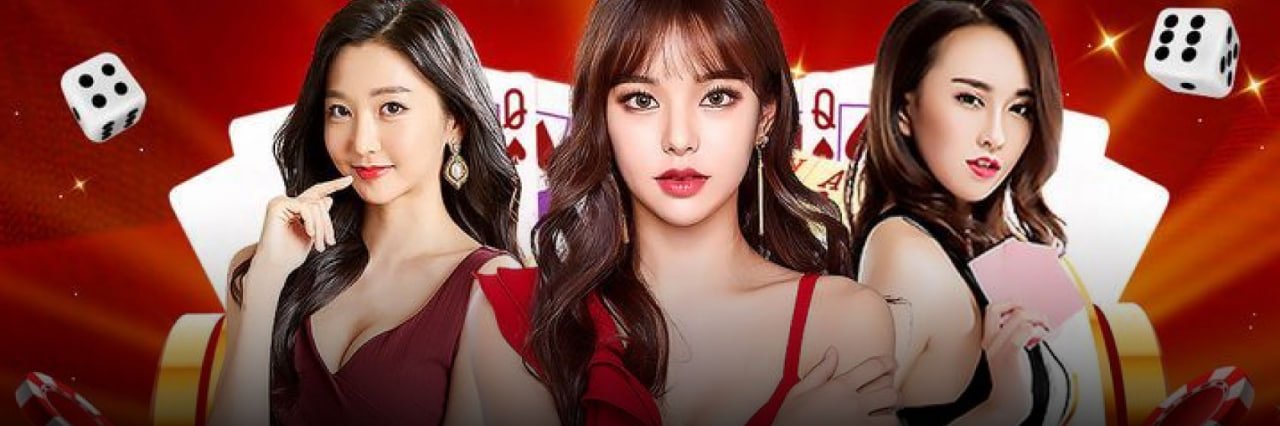 559bet net