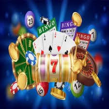 559bet net